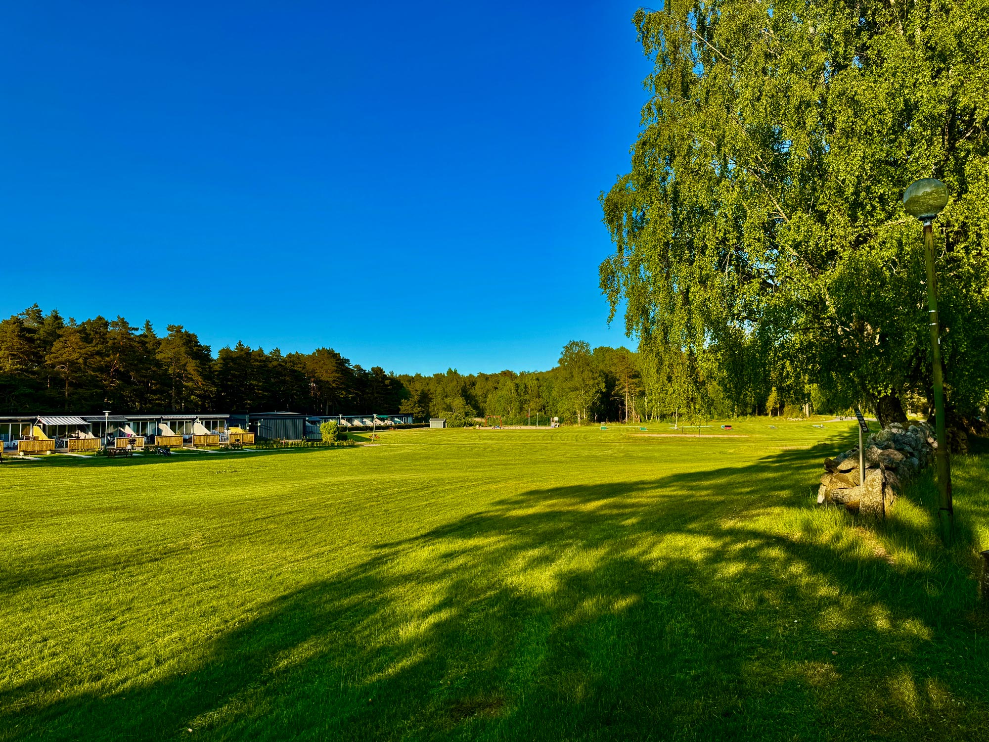 Stor äng utanför boendena en solig sommardag 