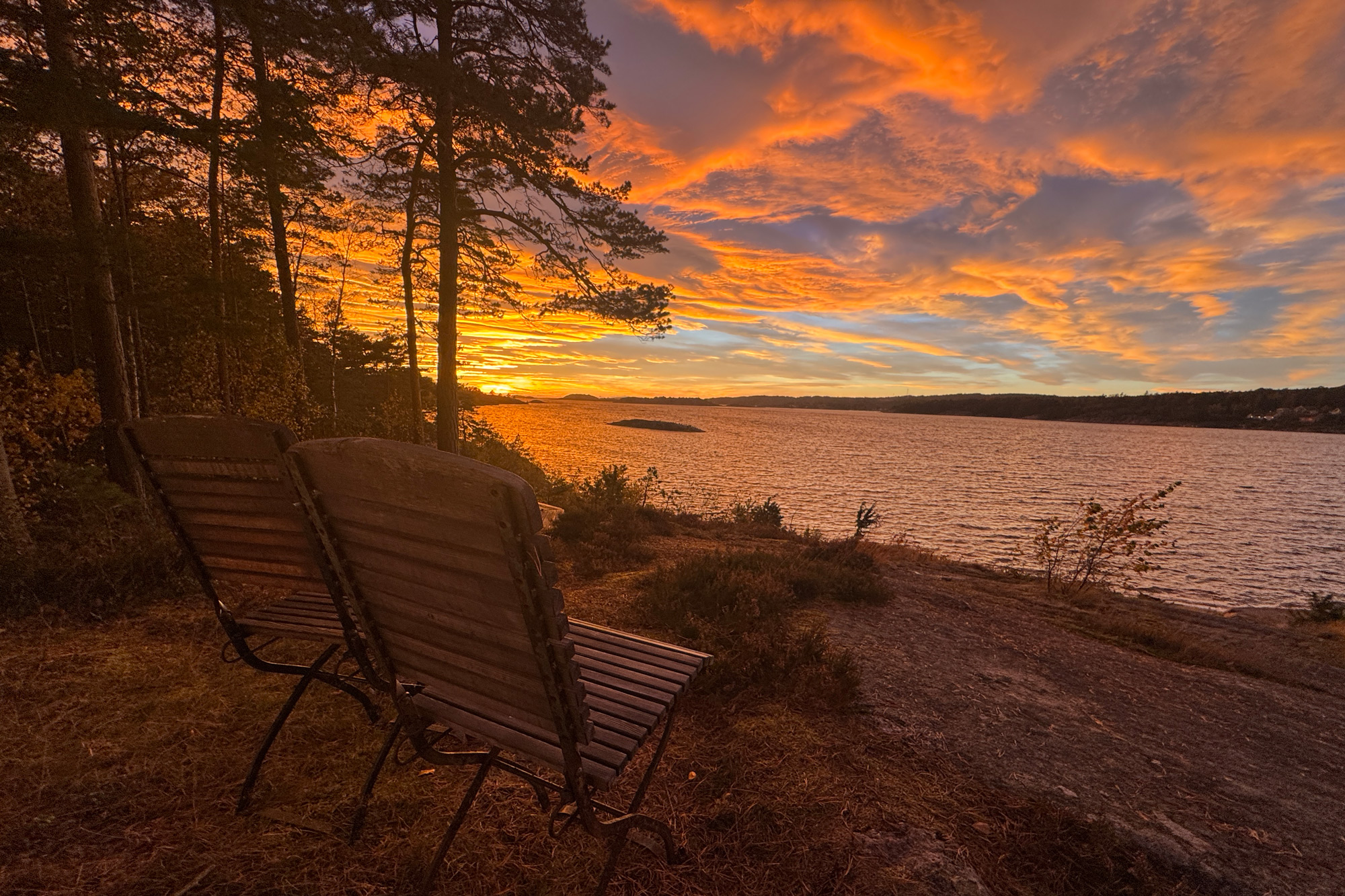 Anläggningen på sommaren