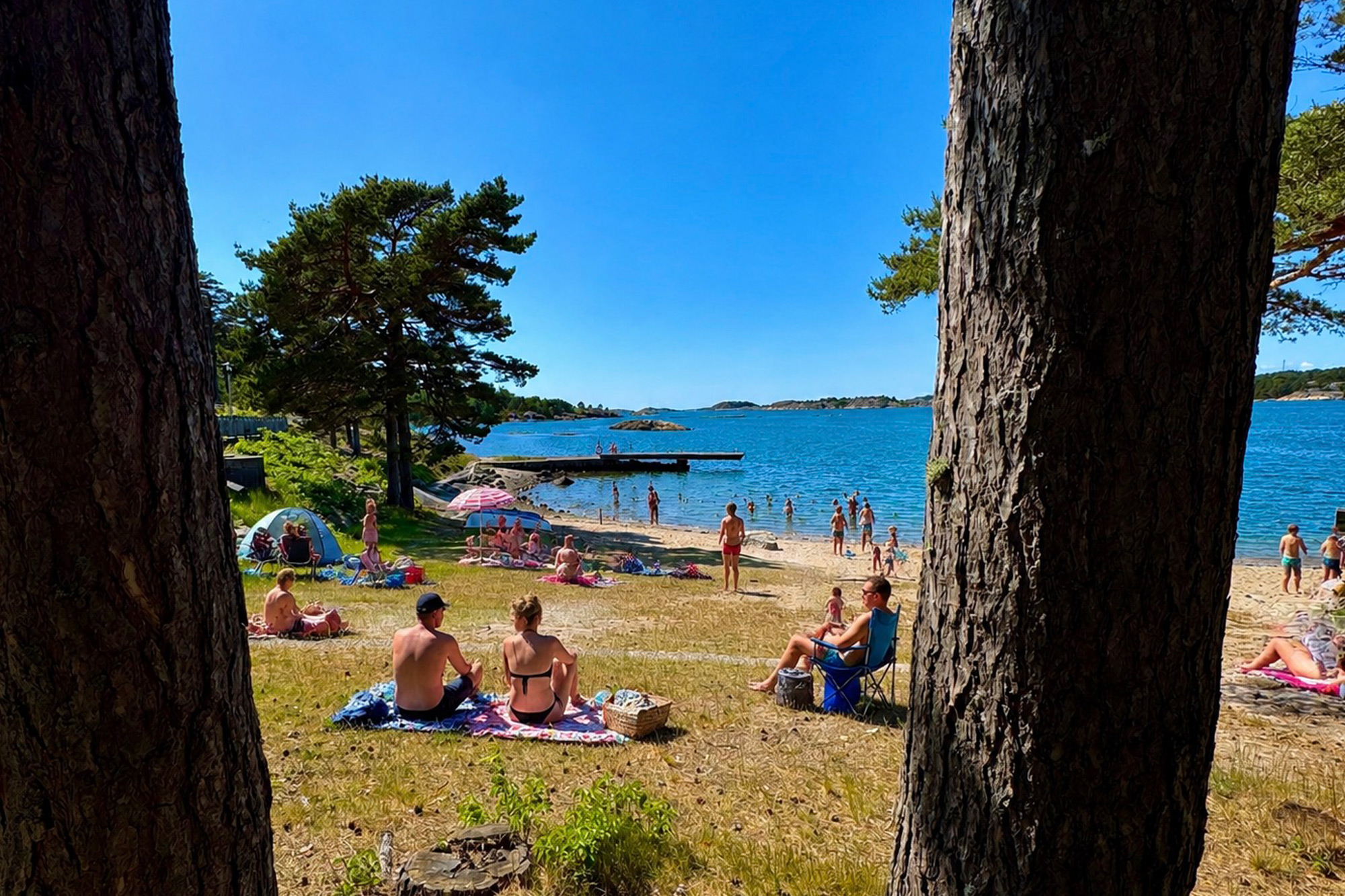 Anläggningen på sommaren