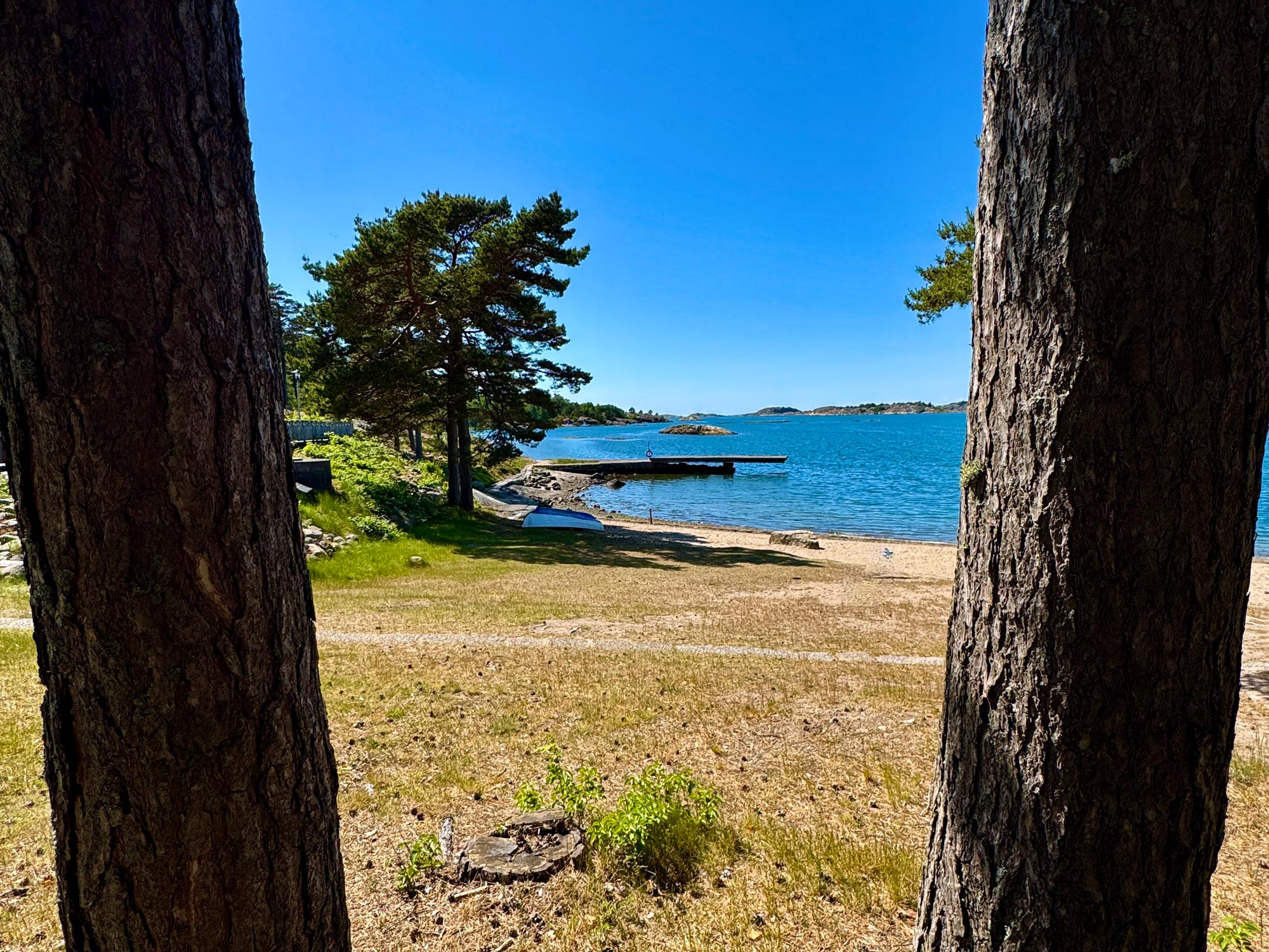 Utsikten på stranden och bryggan genom två träd