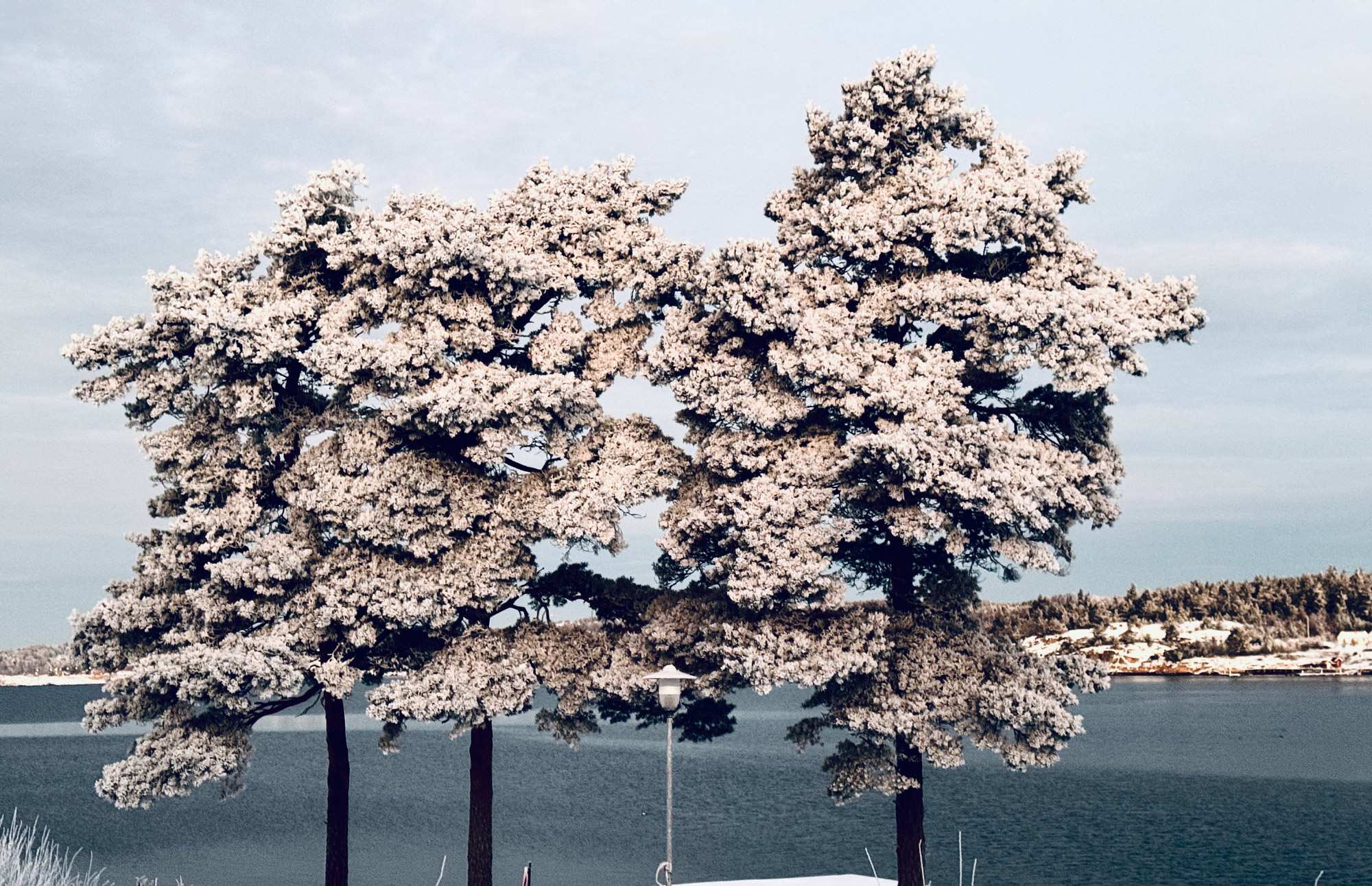 Anläggningen på vintern