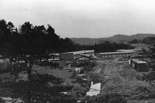 Hällestrand Semesterby under uppbyggnad (ca. 1958)
